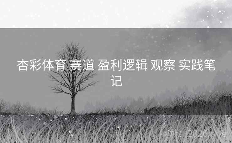 杏彩体育 赛道 盈利逻辑 观察 实践笔记