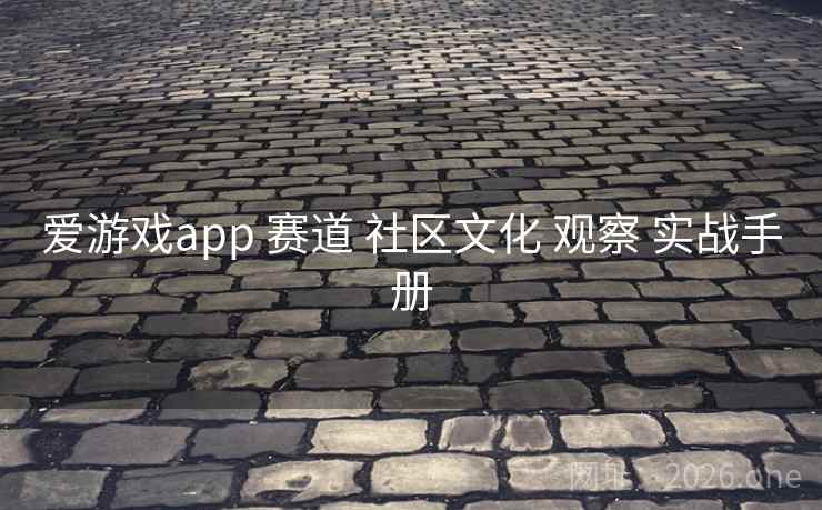 爱游戏app 赛道 社区文化 观察 实战手册