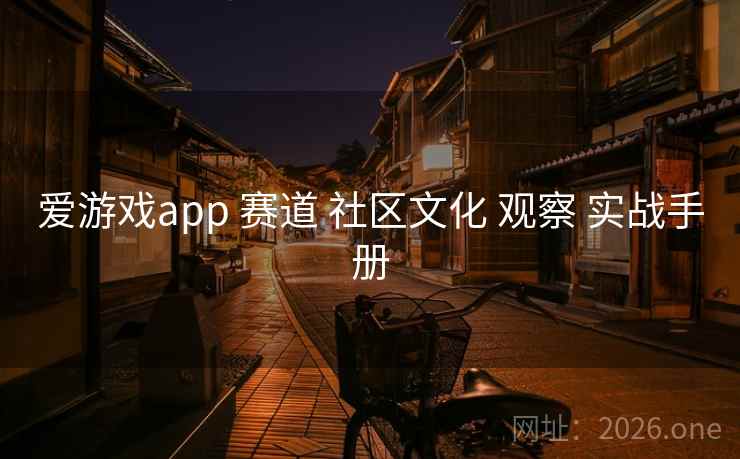 爱游戏app 赛道 社区文化 观察 实战手册