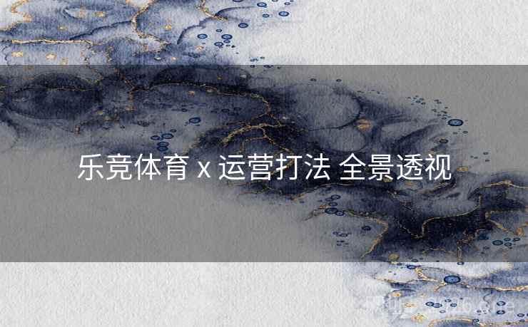 乐竞体育 x 运营打法 全景透视