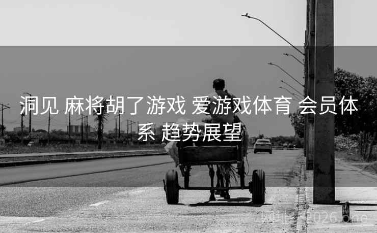 洞见 麻将胡了游戏 爱游戏体育 会员体系 趋势展望