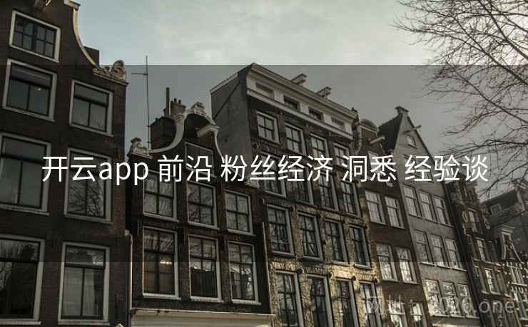 开云app 前沿 粉丝经济 洞悉 经验谈