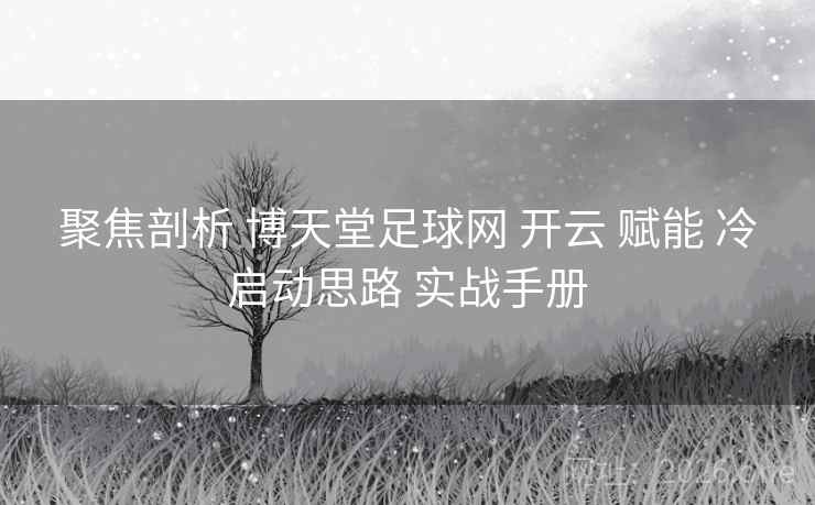 聚焦剖析 博天堂足球网 开云 赋能 冷启动思路 实战手册