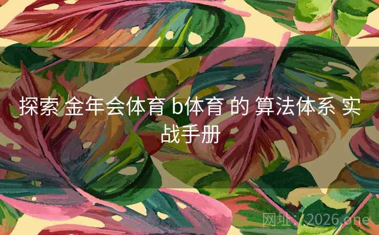 探索 金年会体育 b体育 的 算法体系 实战手册