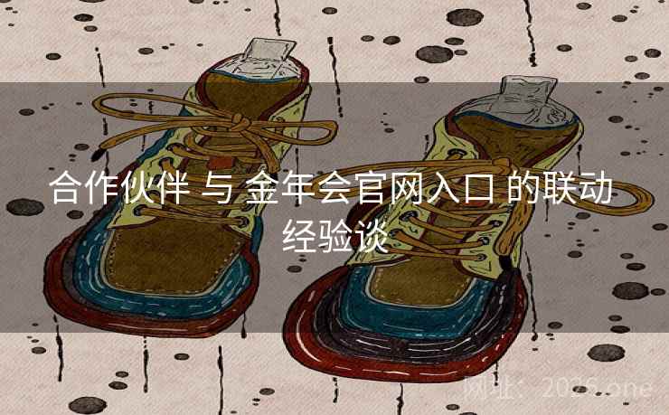 合作伙伴 与 金年会官网入口 的联动 经验谈