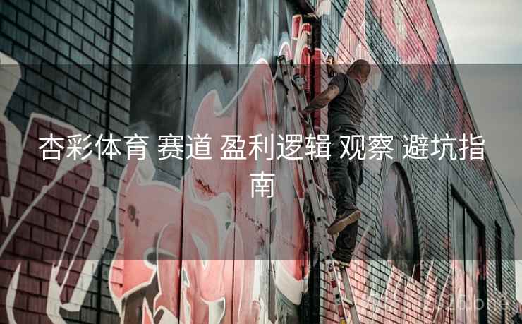 杏彩体育 赛道 盈利逻辑 观察 避坑指南
