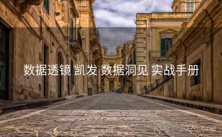 数据透镜 凯发 数据洞见 实战手册