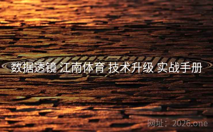 数据透镜 江南体育 技术升级 实战手册