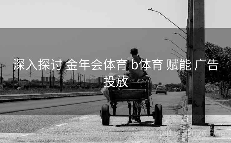 深入探讨 金年会体育 b体育 赋能 广告投放