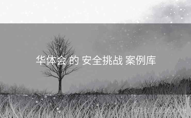 华体会 的 安全挑战 案例库