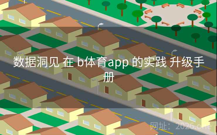 数据洞见 在 b体育app 的实践 升级手册